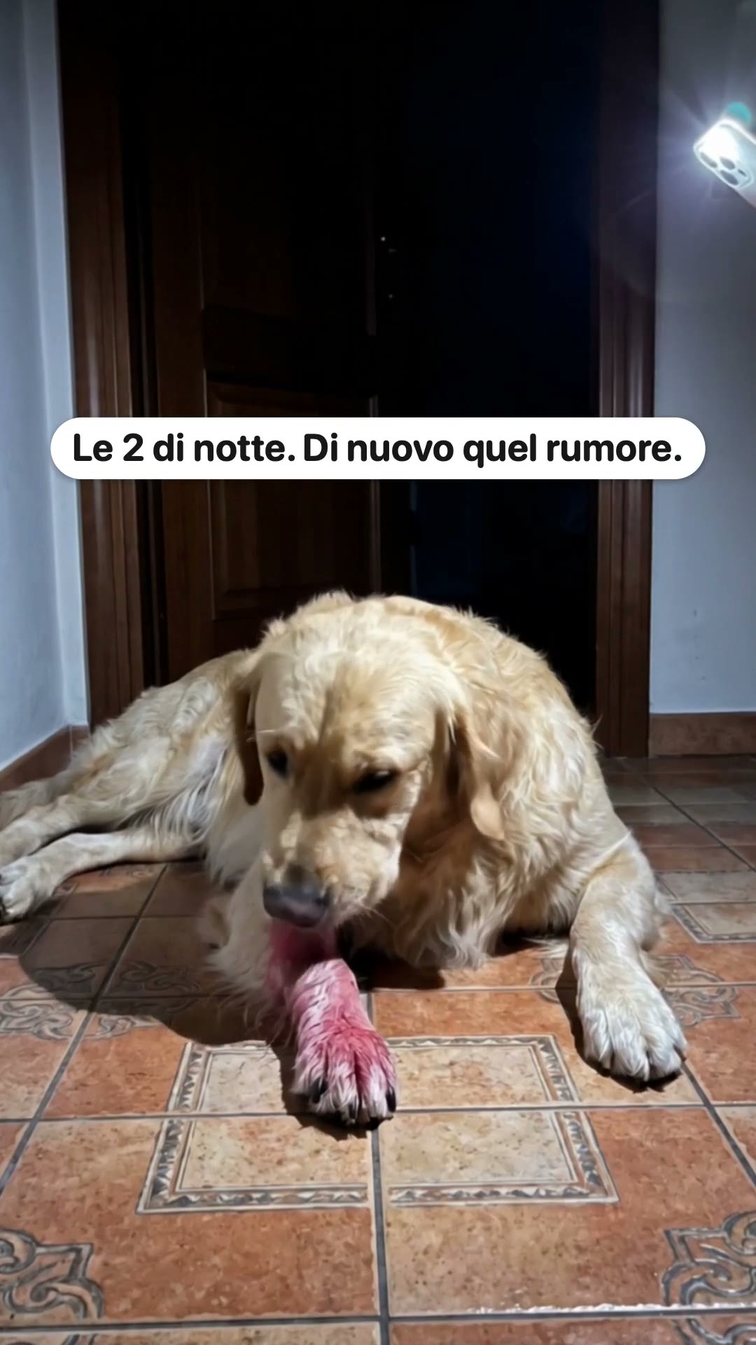 Questo è quello che uso