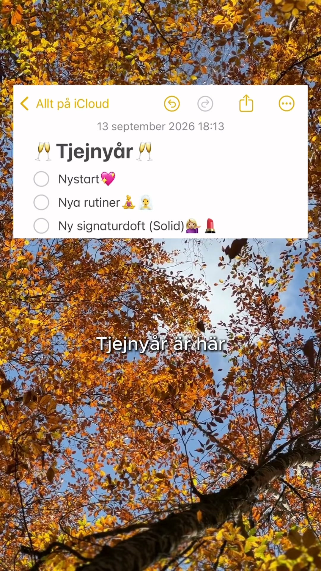 Redo för tjejnyår!