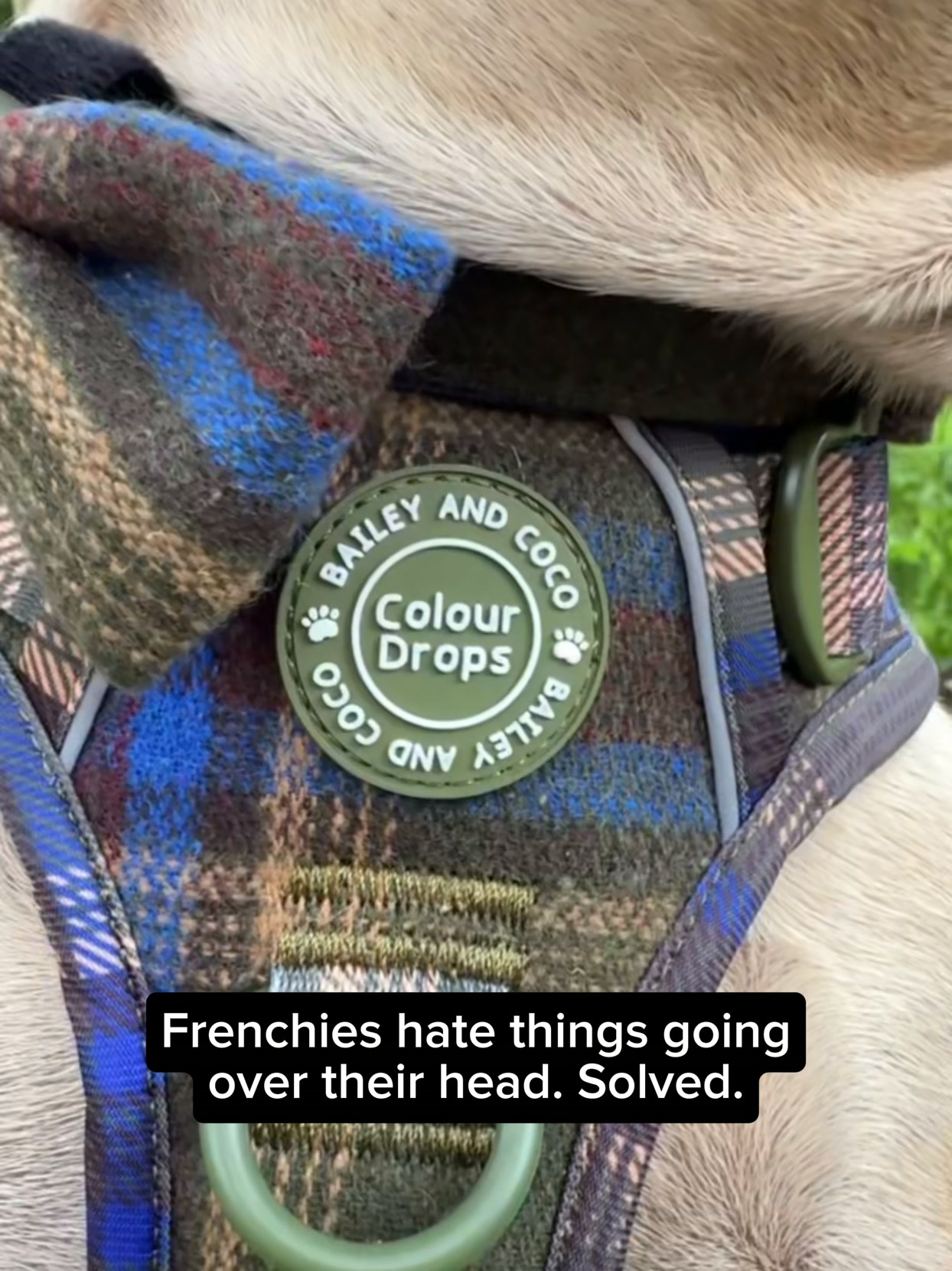 Made To Fit French Bulldogs