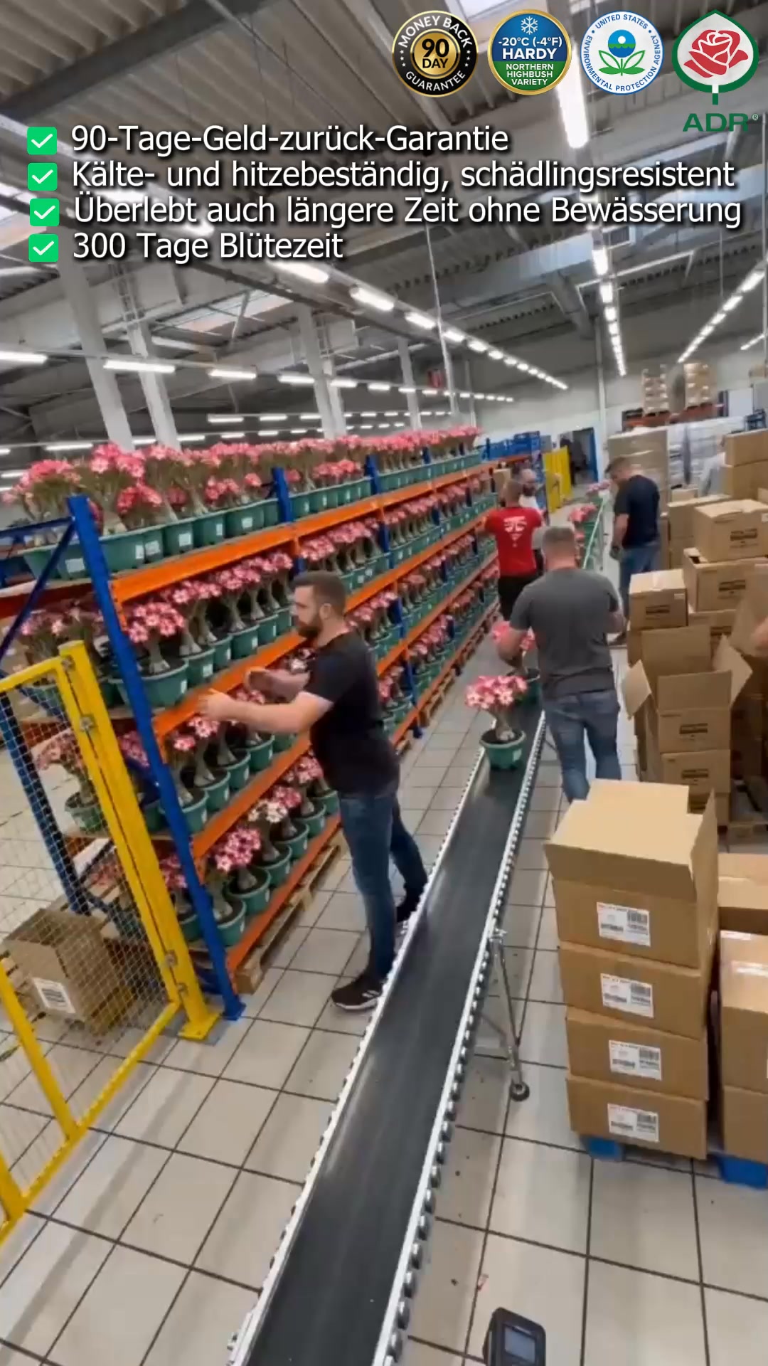 Eine große Auswahl hochwertiger Desert Rose Produkte erwartet Sie!