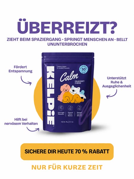 70 % RABATT + KOSTENLOSER Versand