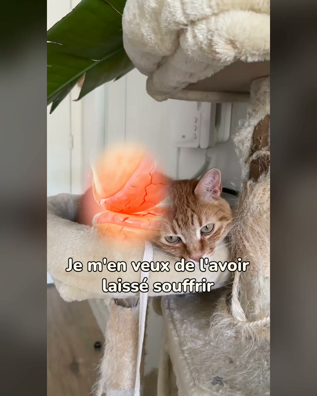 Soulage ses articulations