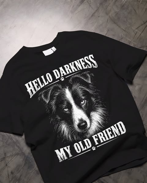 Border Collie Darkness 20