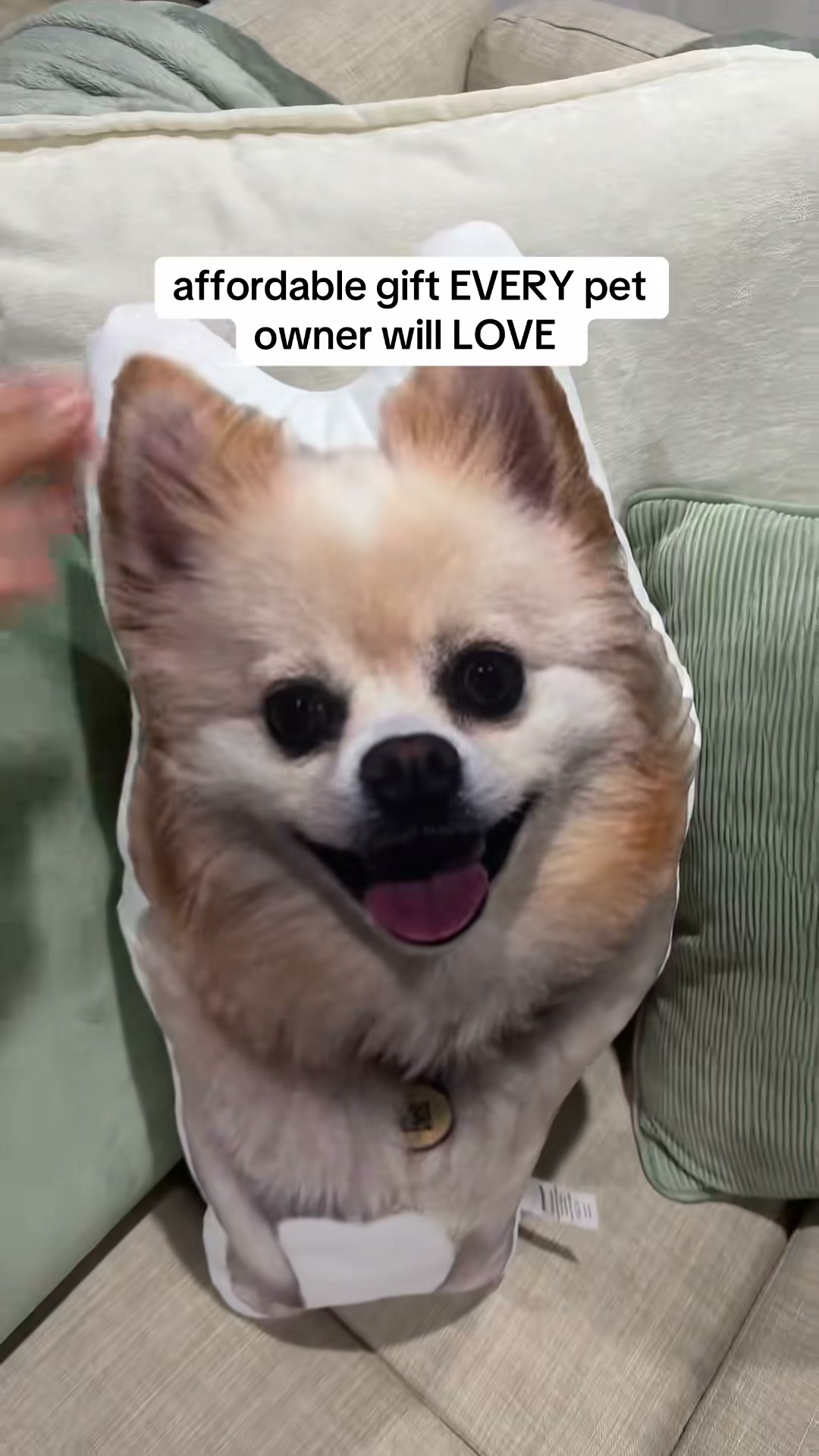 Turn Your Pet Into a Pillow!