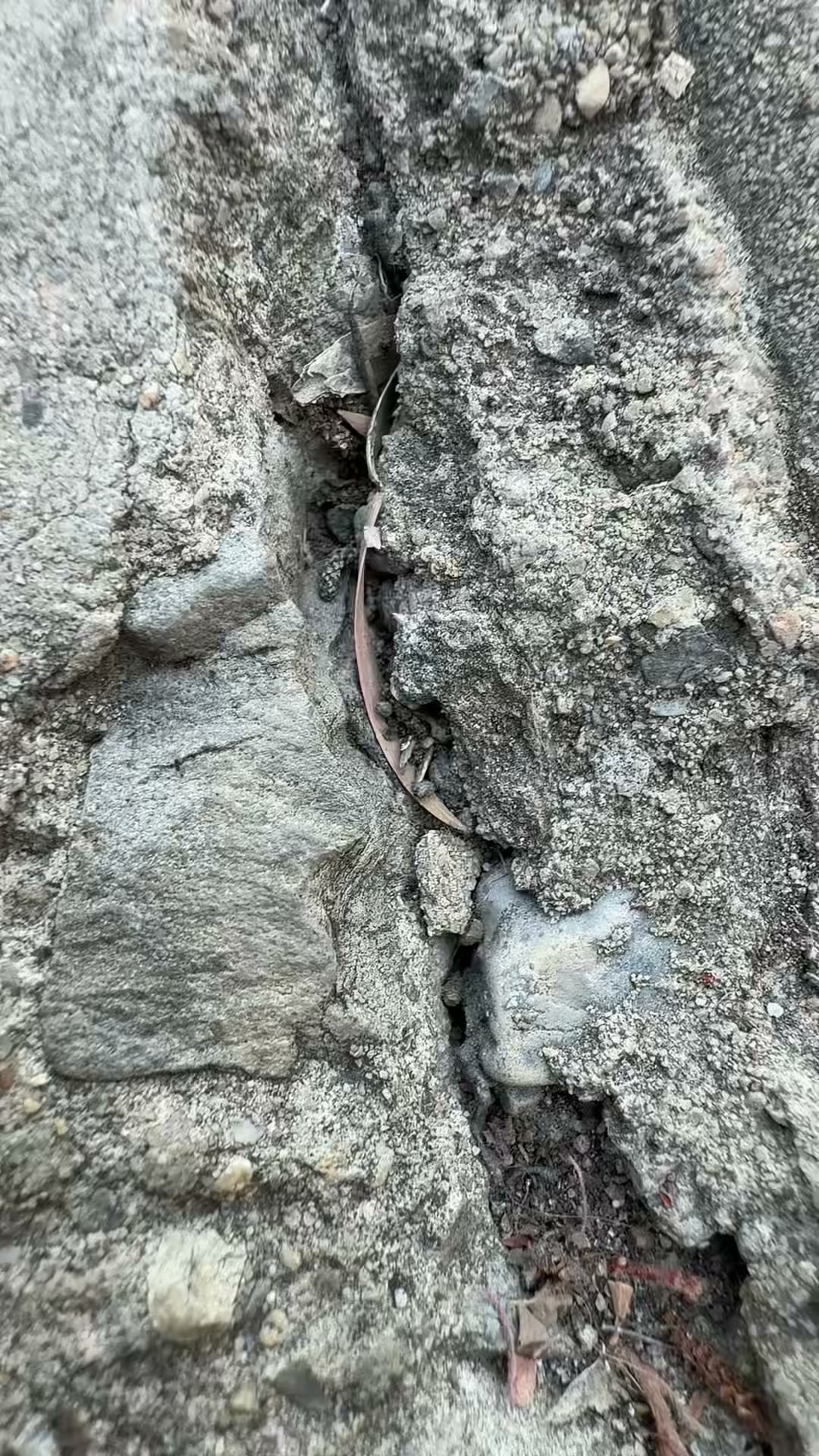 Fix That Crack Yourself