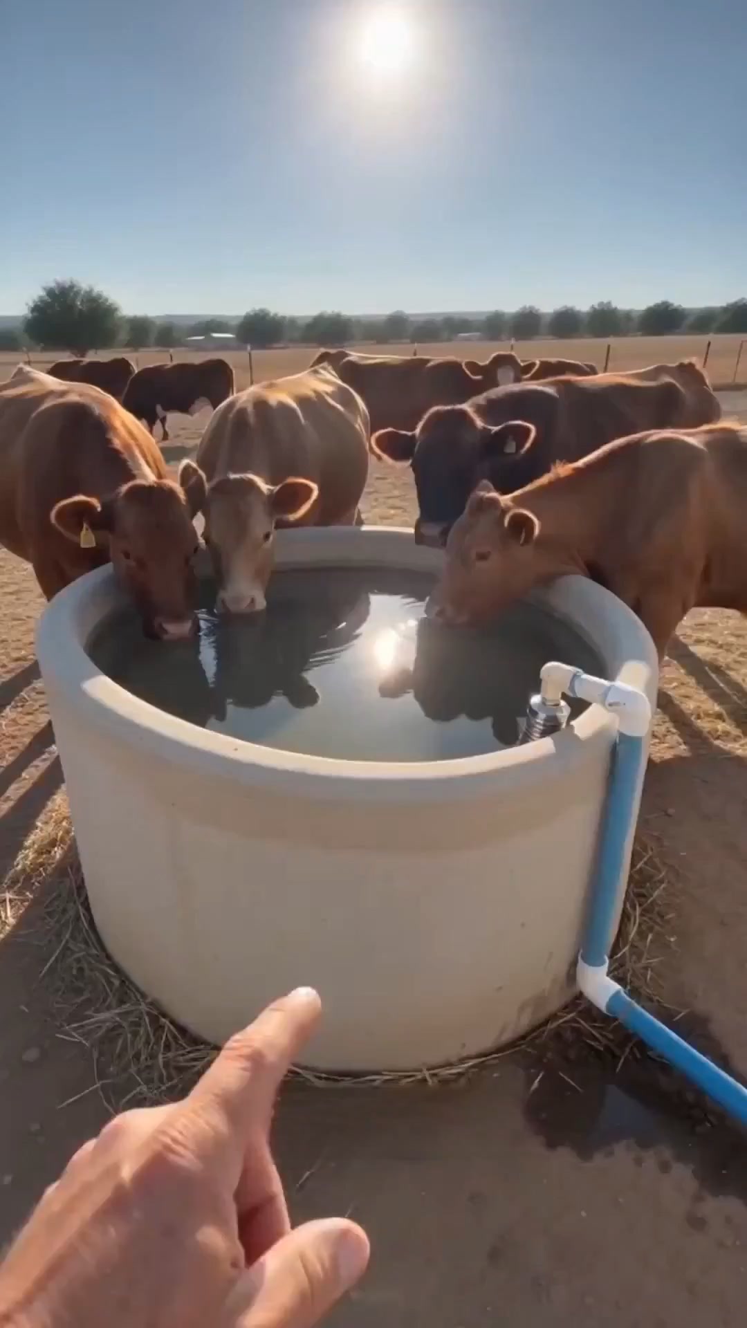 Controllo Automatico dell'Acqua