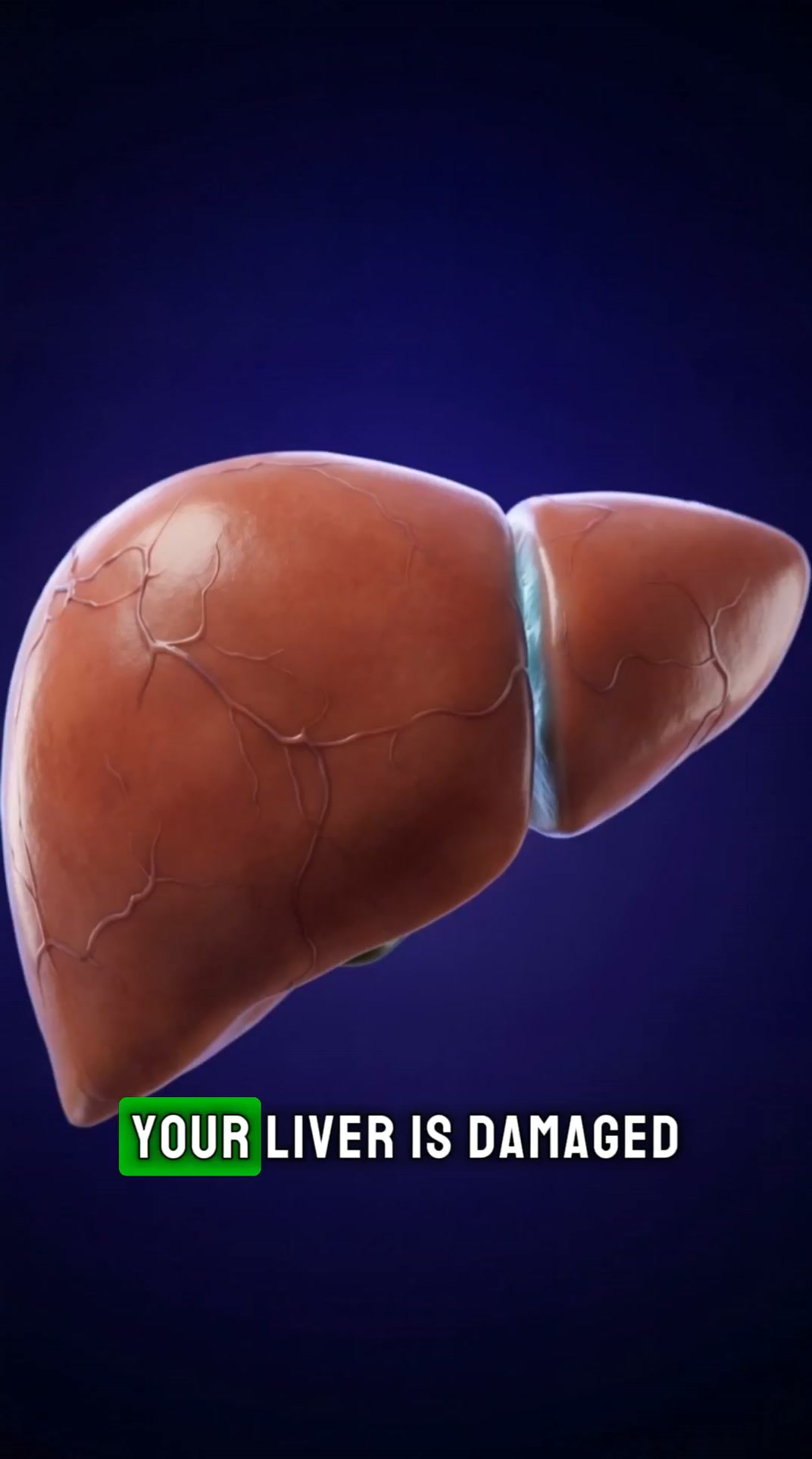Give your liver what it needs.