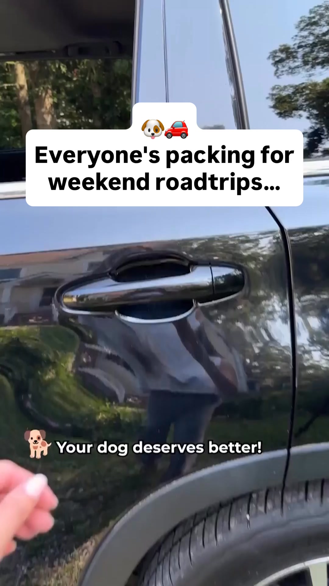 Safe & Comfy Rides in 1 Easy Step