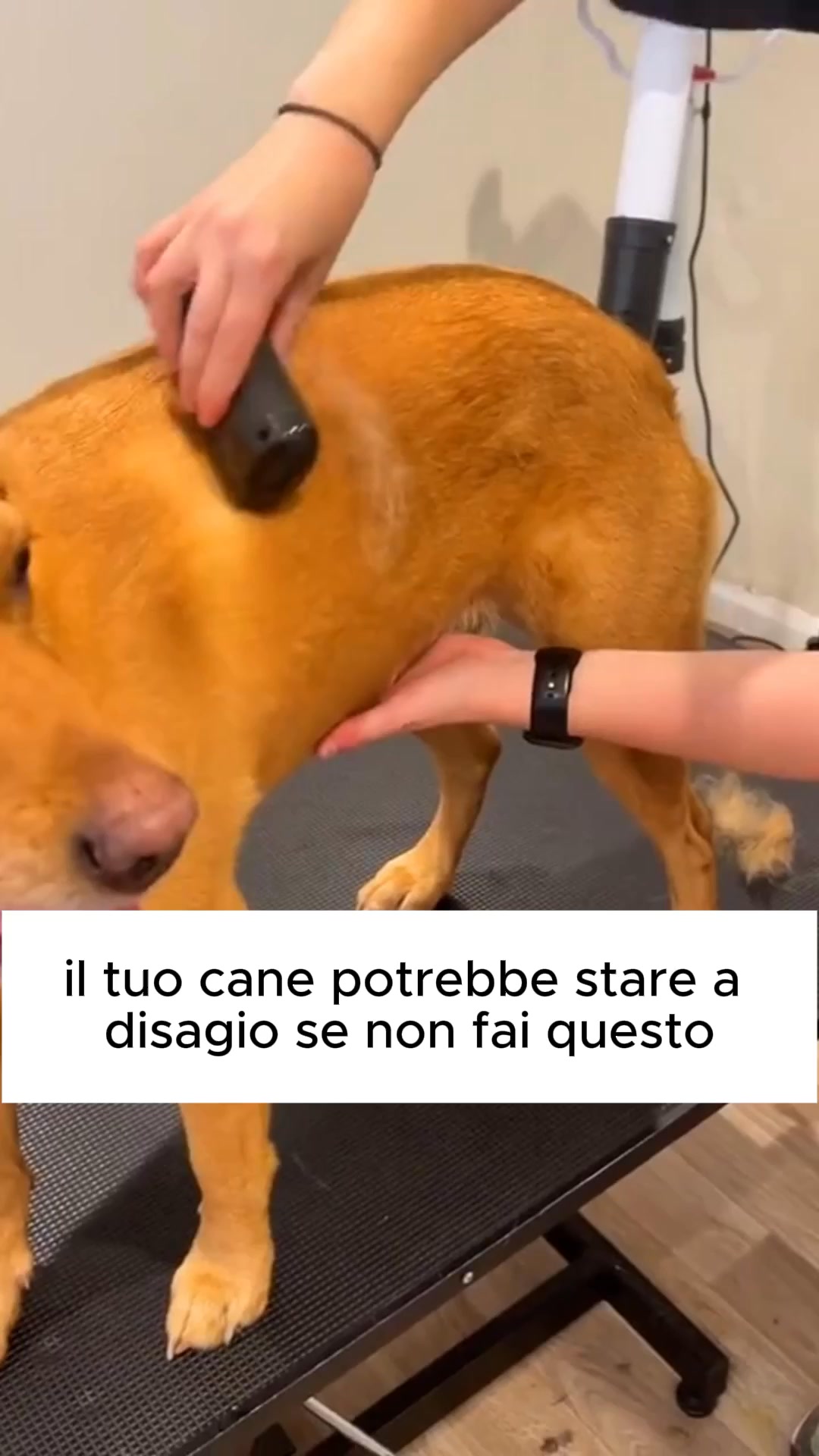Addio Nodi e Pelo Ovunque