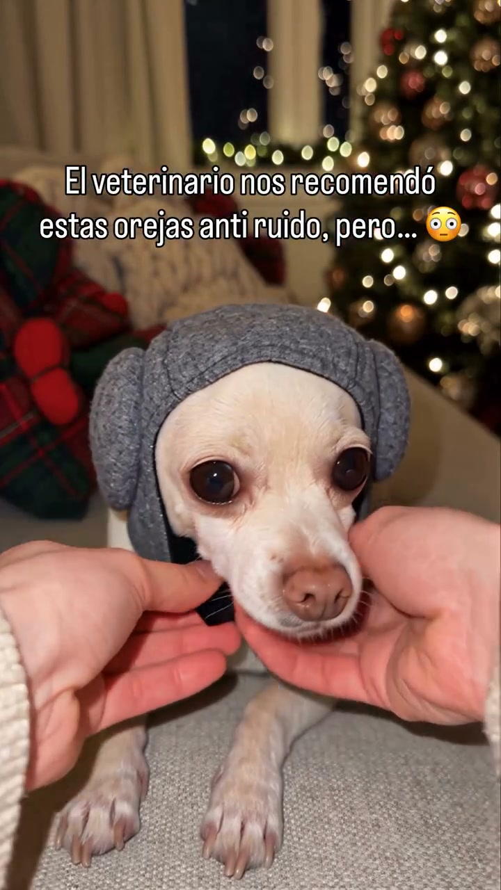 Anúncio de Sereinva.com