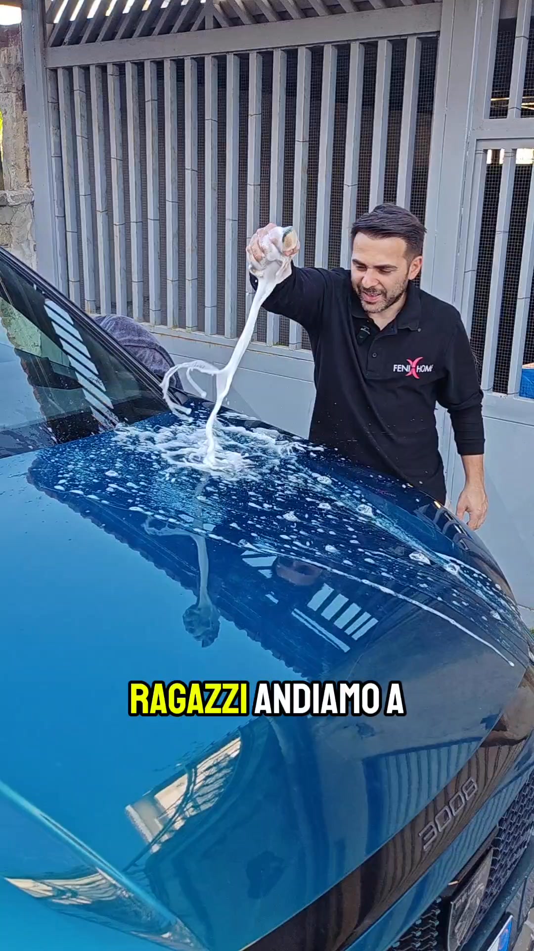 Pulizia Perfetta