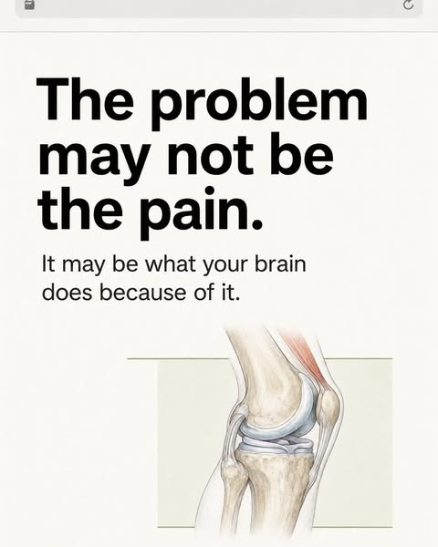 The Knee-Brain Connection Most People Never Hear About