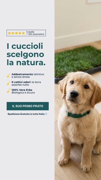 Provalo, zero addestramento