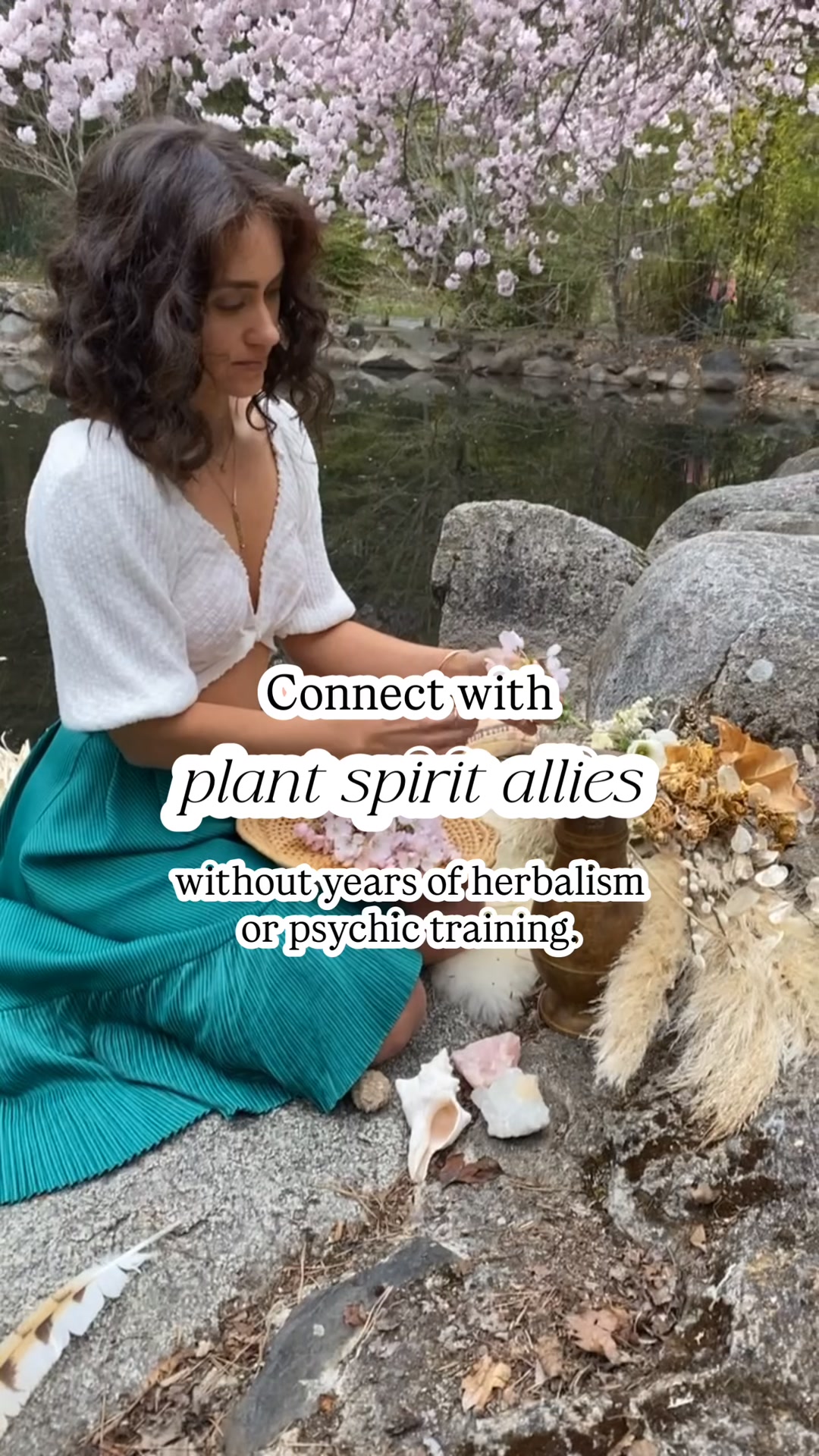 Channel With Plants: Grab My Process