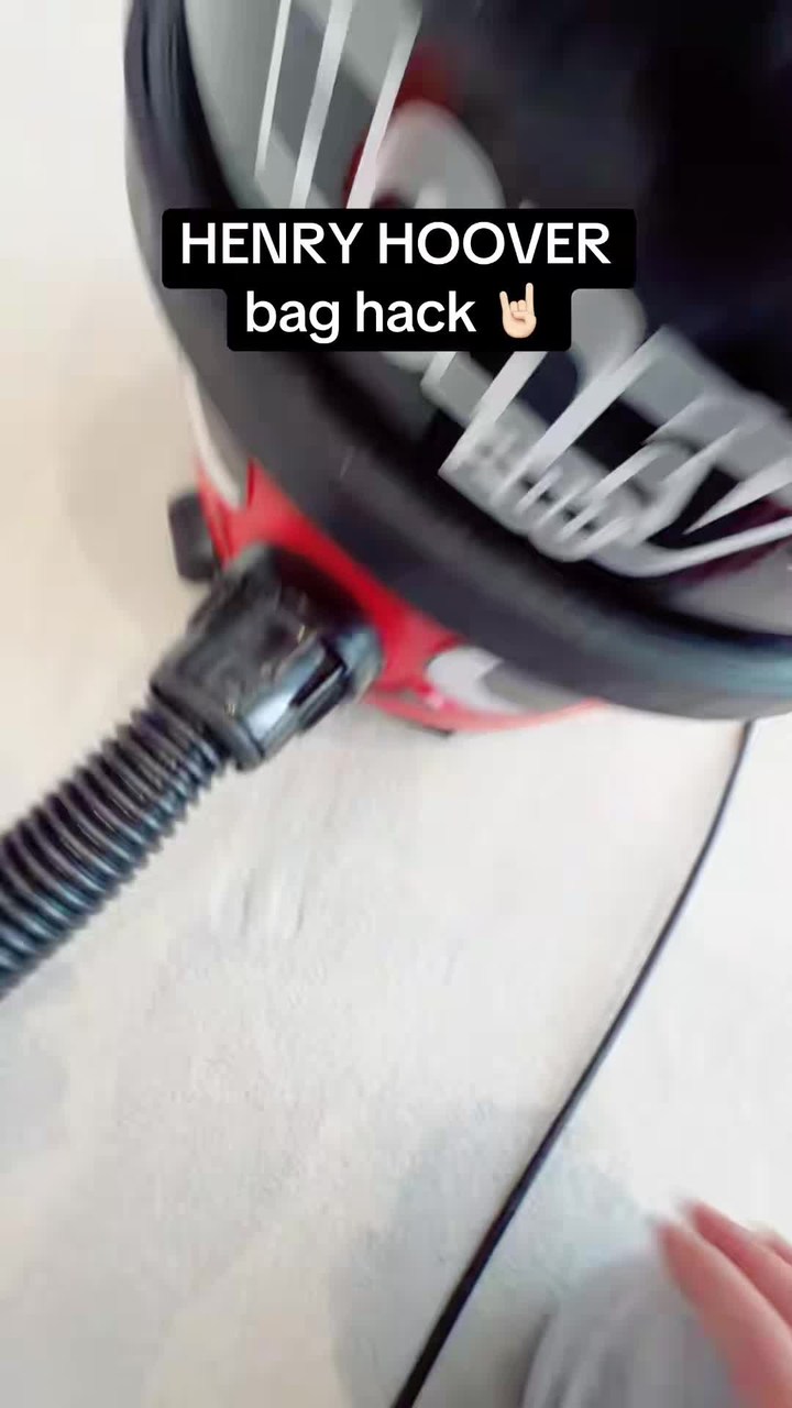 Vacuum cleaner dust bag