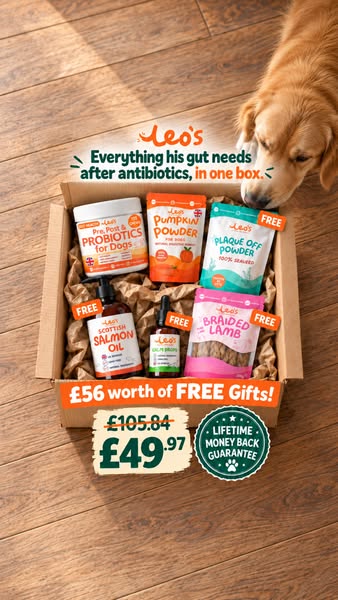 Try RISK FREE. Don't love it? We'll give you a refund.