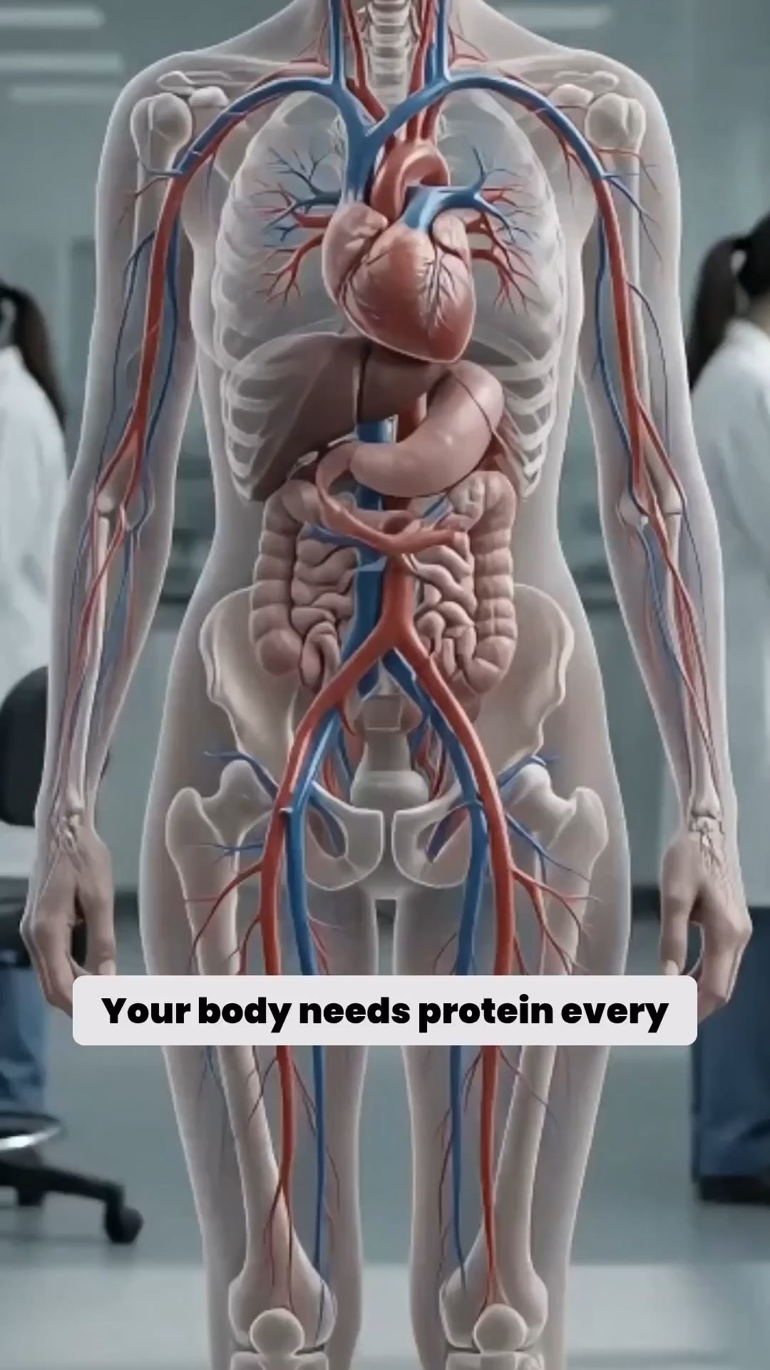 6 Reasons You Need More Protein