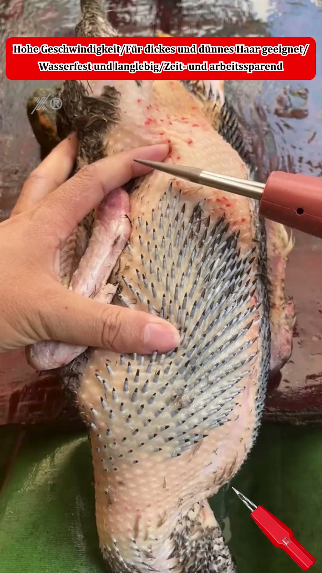Anúncio de Helherting