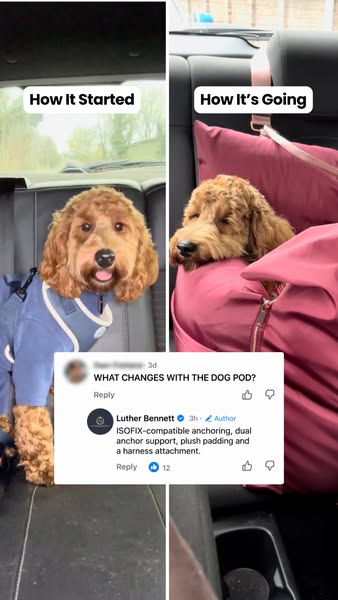 Travel Dog Pod (Now with ISOFIX)