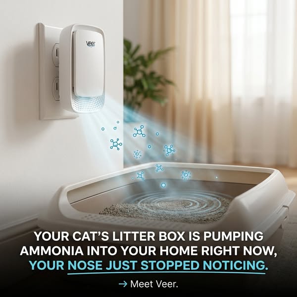 Get Rid of the Cat Pee Smell In Your Home (MUST READ)