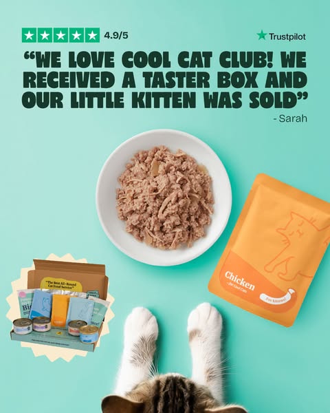 Over 10,000+ happy cats!