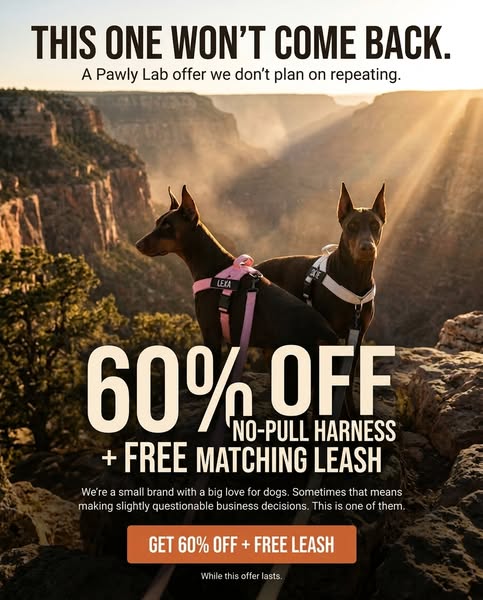 FREE LEASH TODAY