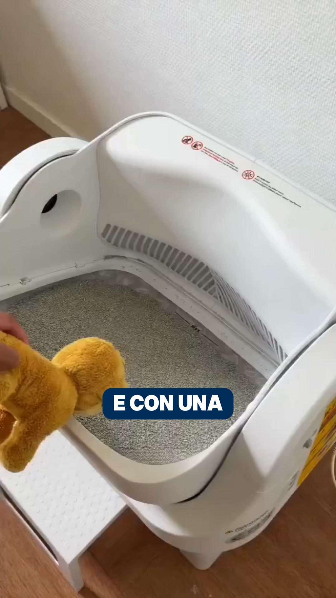 Sicura per il tuo gatto
