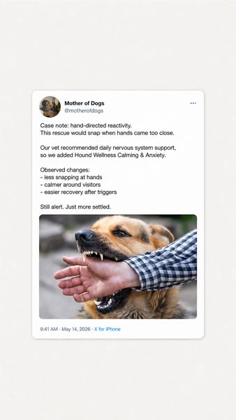 40% Off + Free Dental Chews