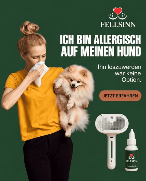 Nebelbürste™ | 50 % Rabatt