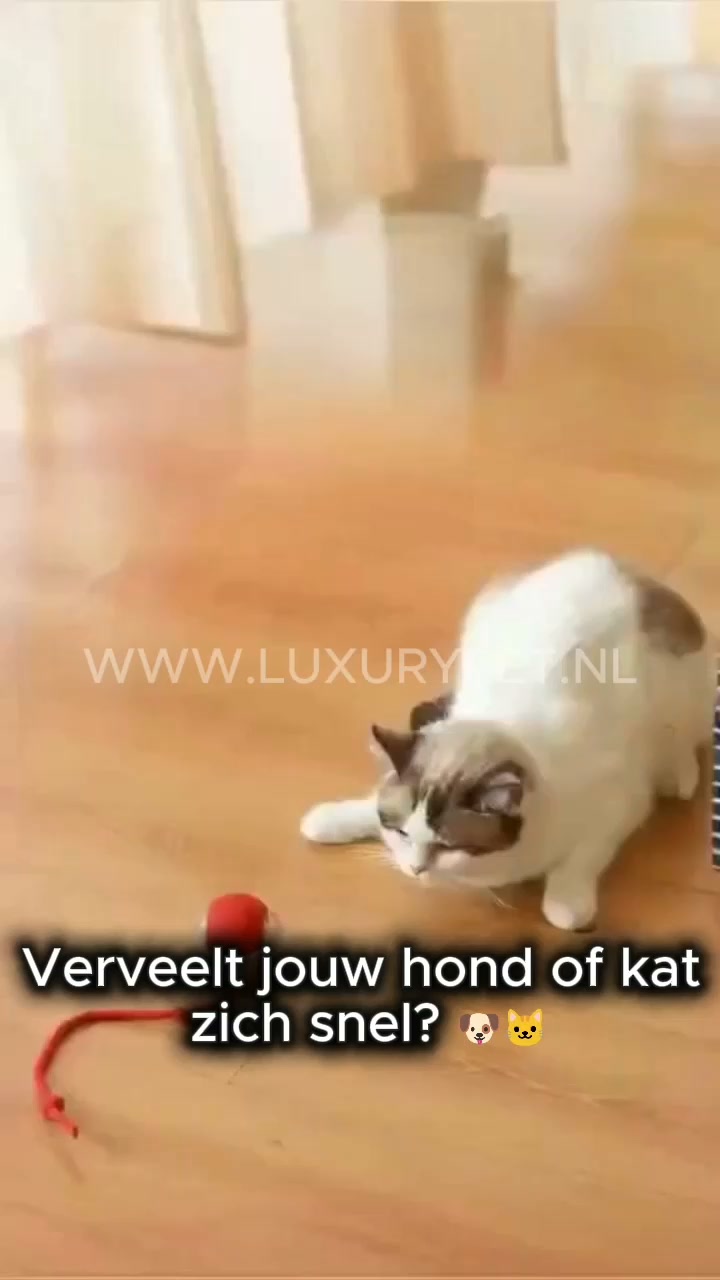 1+1 GRATIS op RolPret™