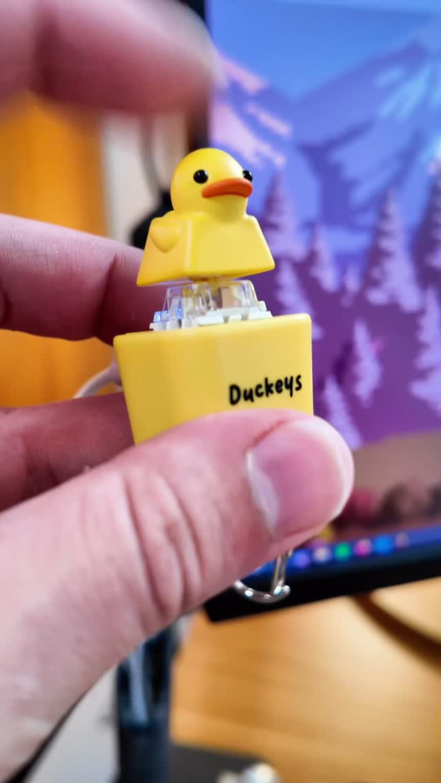 Anúncio de Duckeys