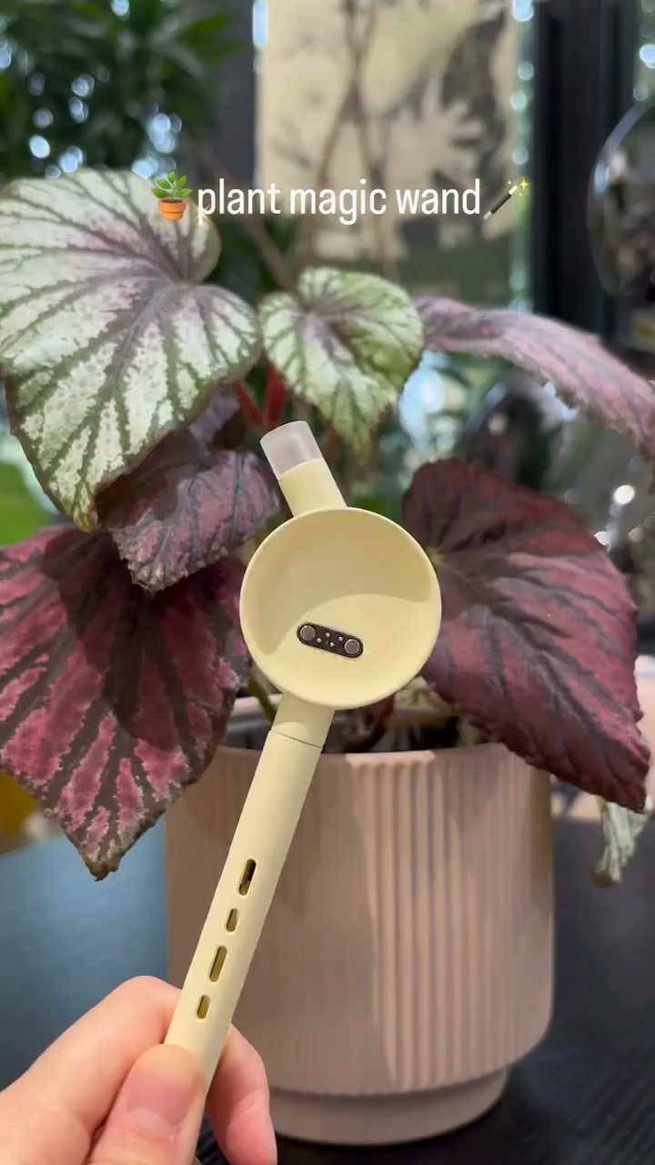 Still guessing when to water your plants?
