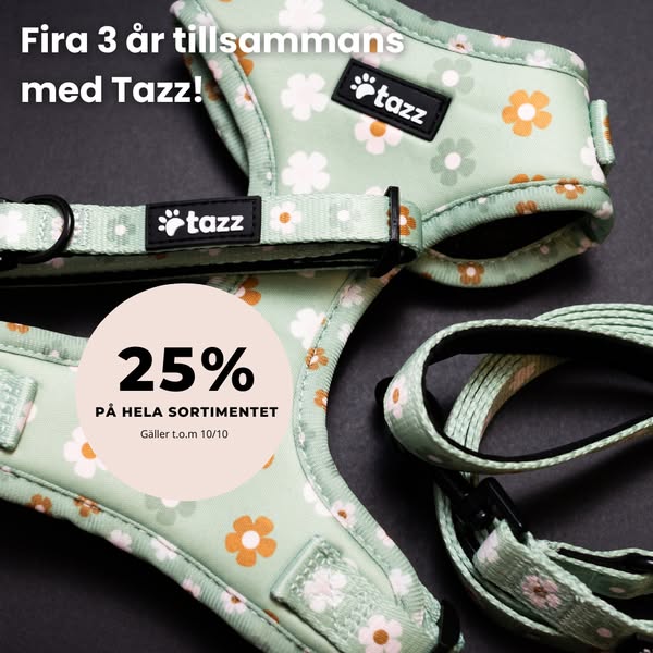25% på allt – t.o.m. 10/10