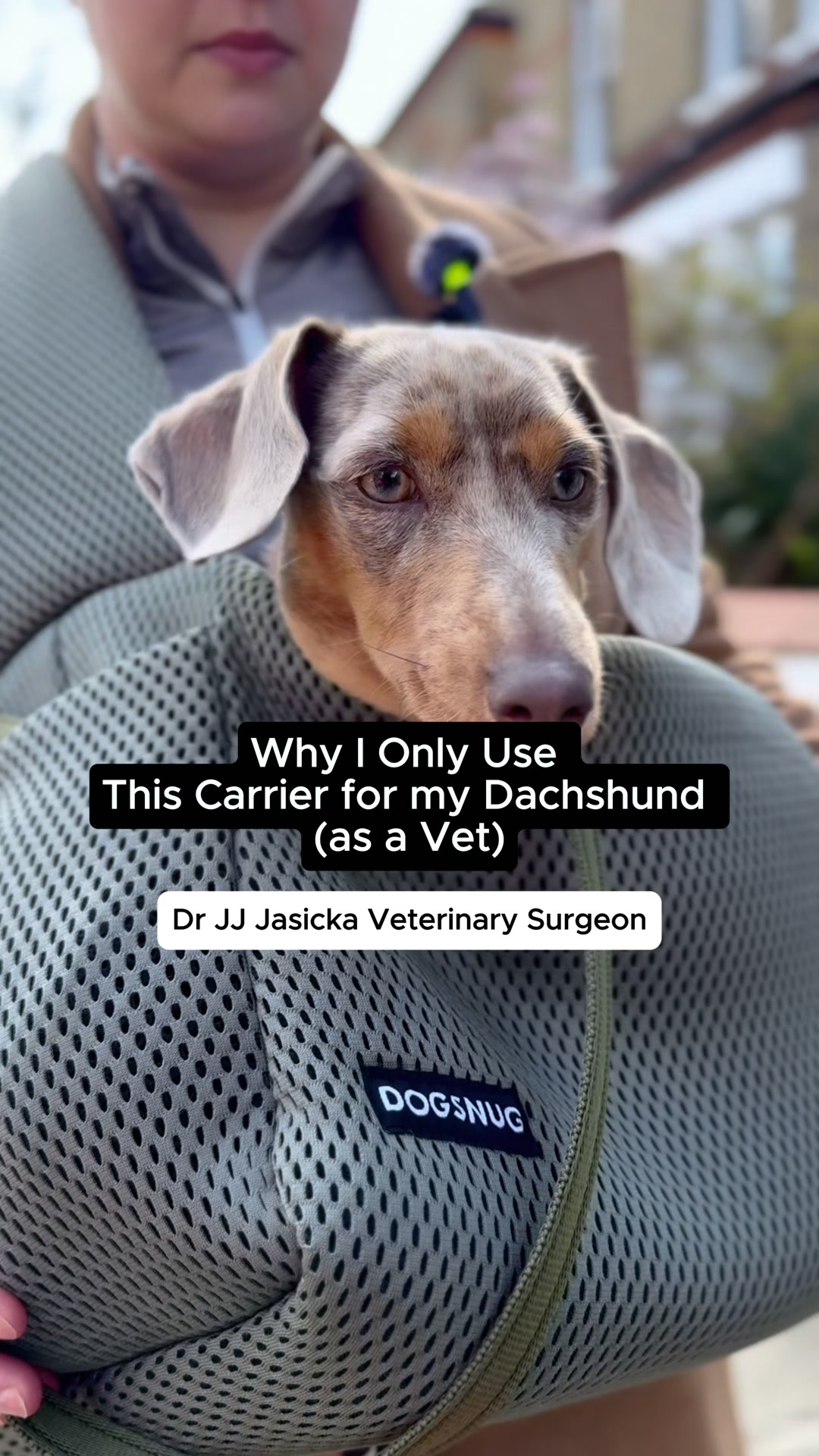The Vet-Approved Sling for Dachshunds