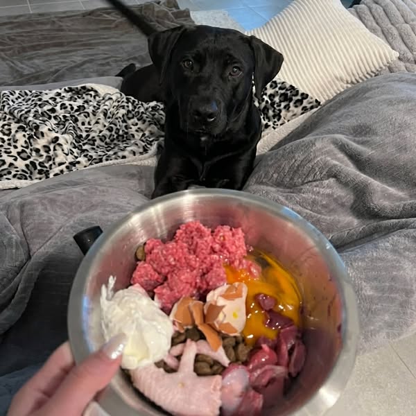 Das „Premium-BARF", für das du 150 € zahlst, lässt das Herz deines Hundes hungern