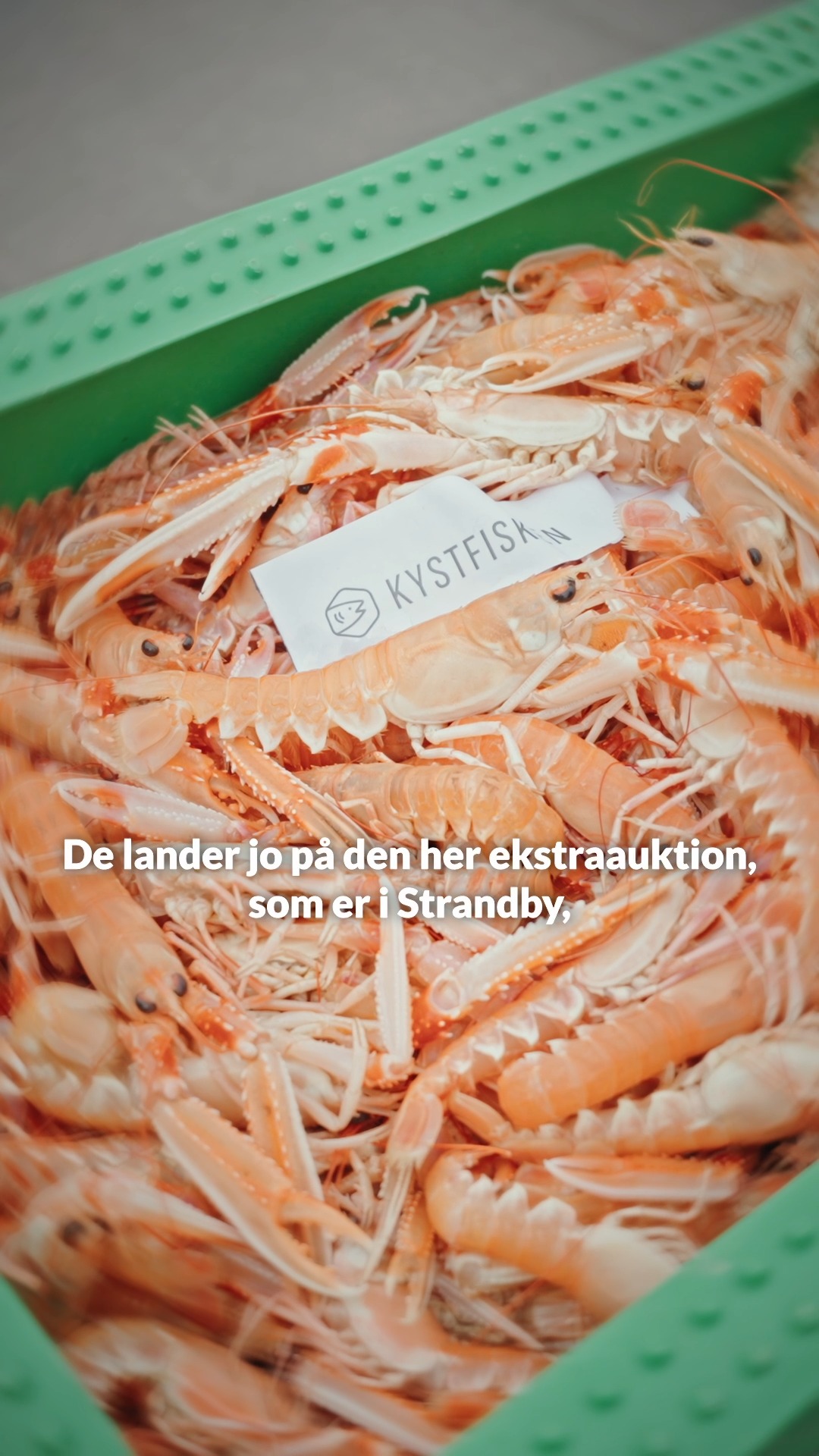 Anúncio de Kystfisken - Levering af friske fisk og skaldyr