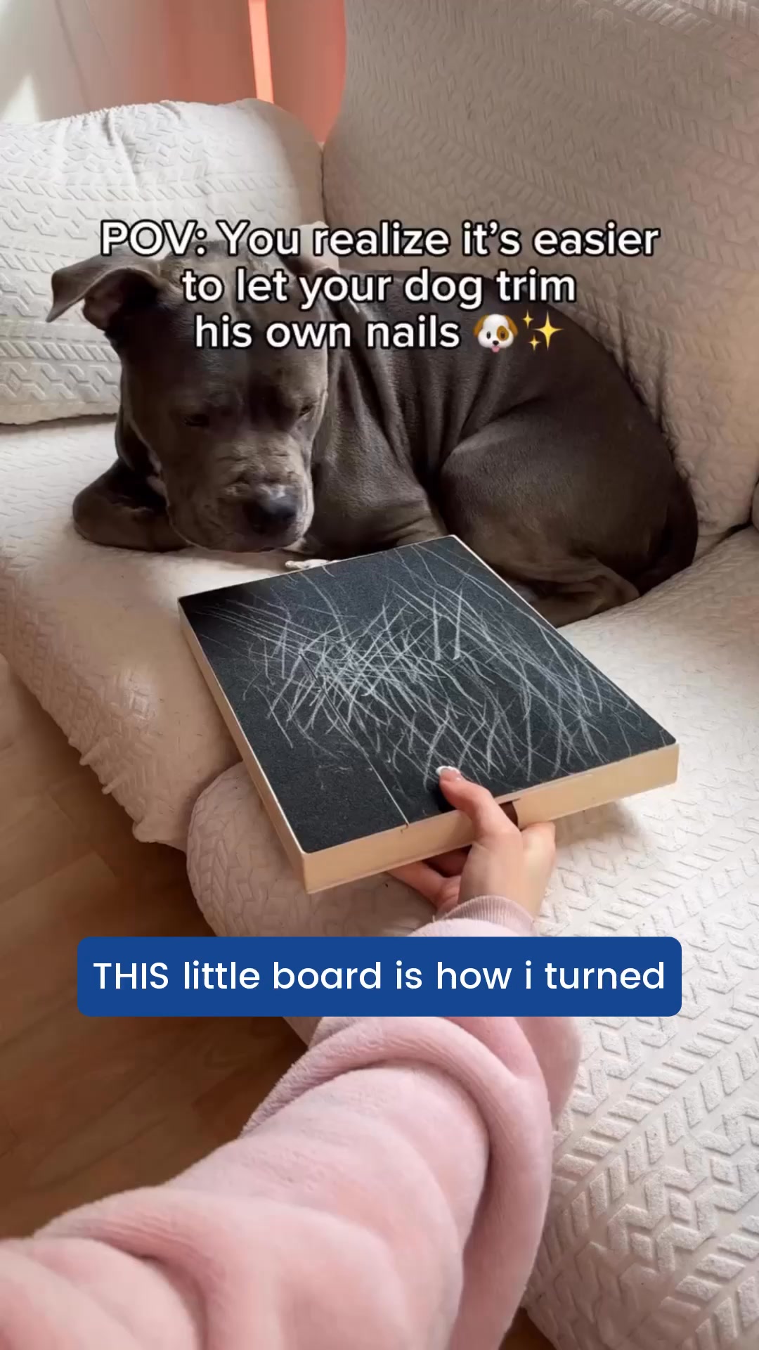 I thought i had to take her to the VET for sedated nail trimmings, UNTIL I FOUND THIS!