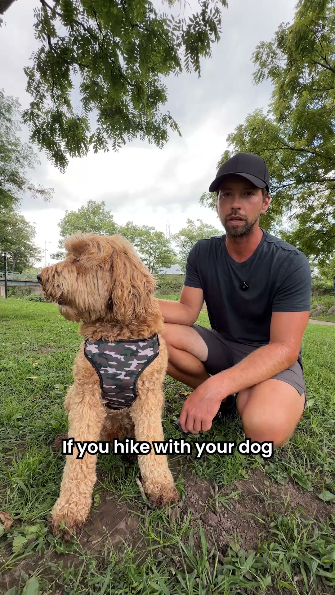 Rated #1 By Dog Owners