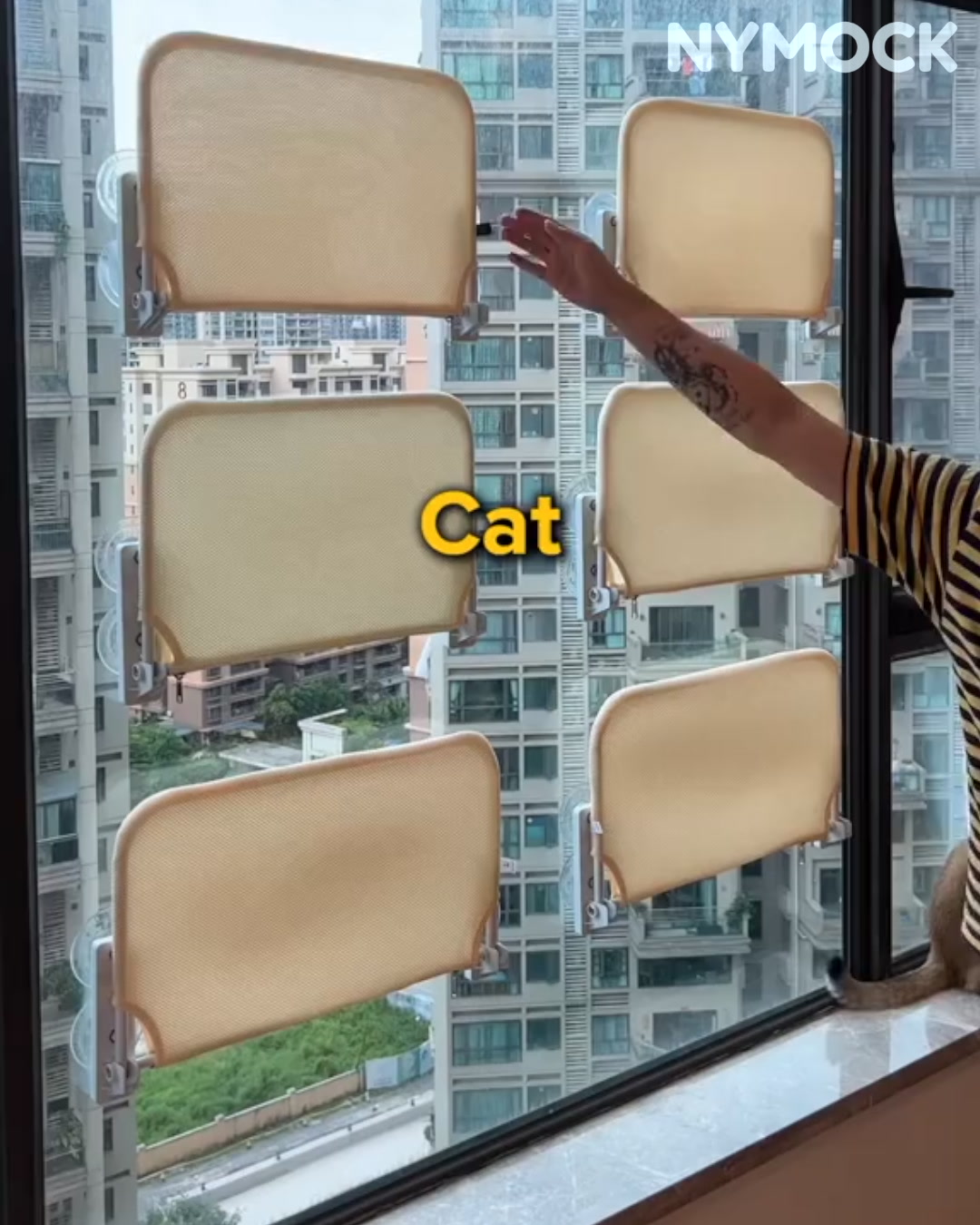 #1 Seller of Cat Hammocks Since 2021