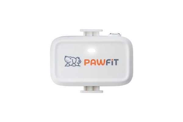 Pawfit Lite for dogs - snow white