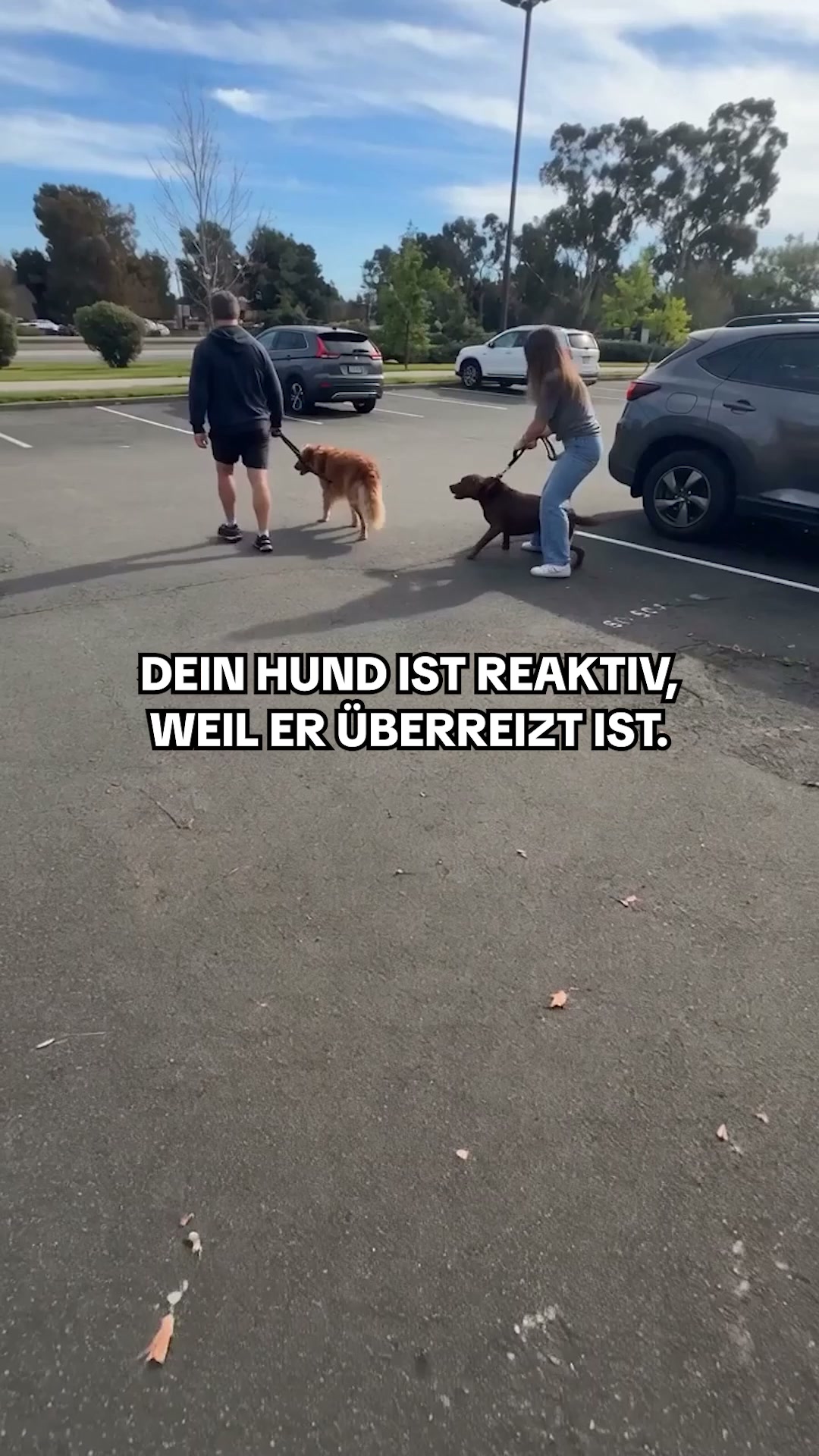 70 % RABATT + KOSTENLOSER Versand