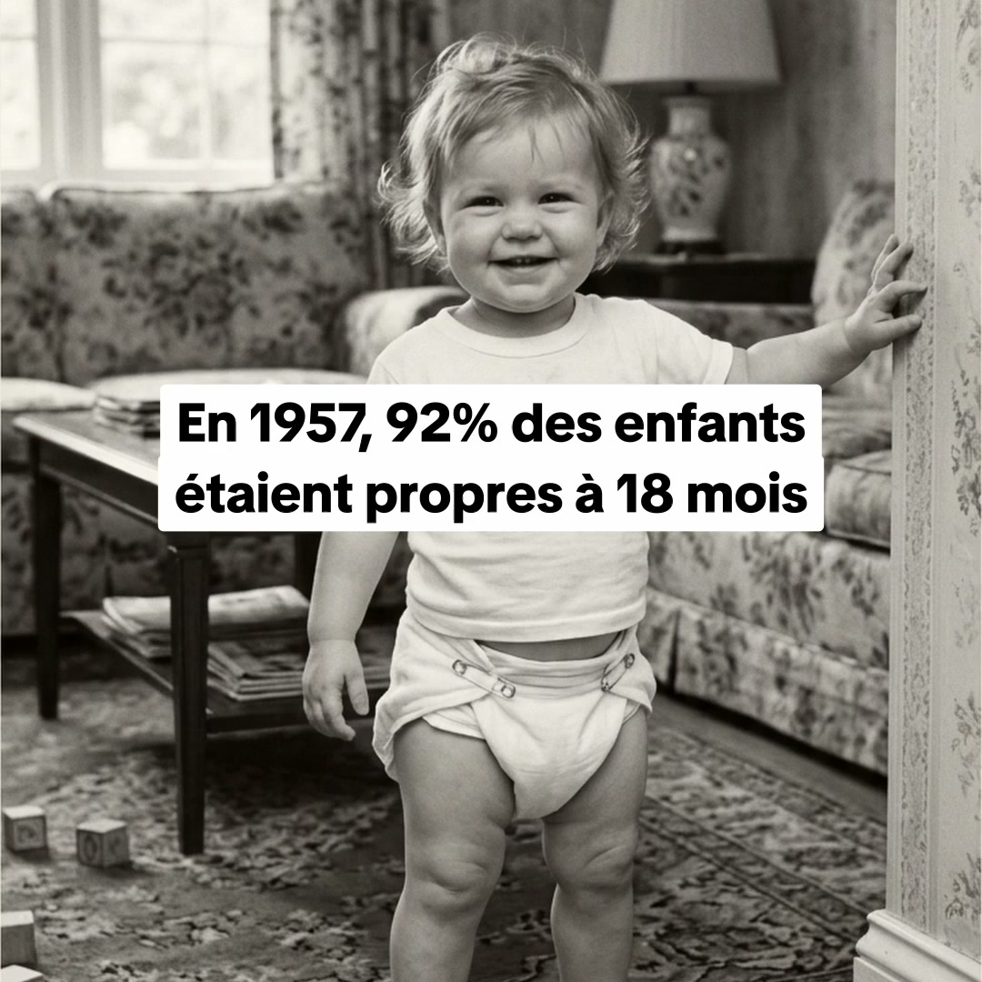 J'aurais aimé les découvrir plus tôt