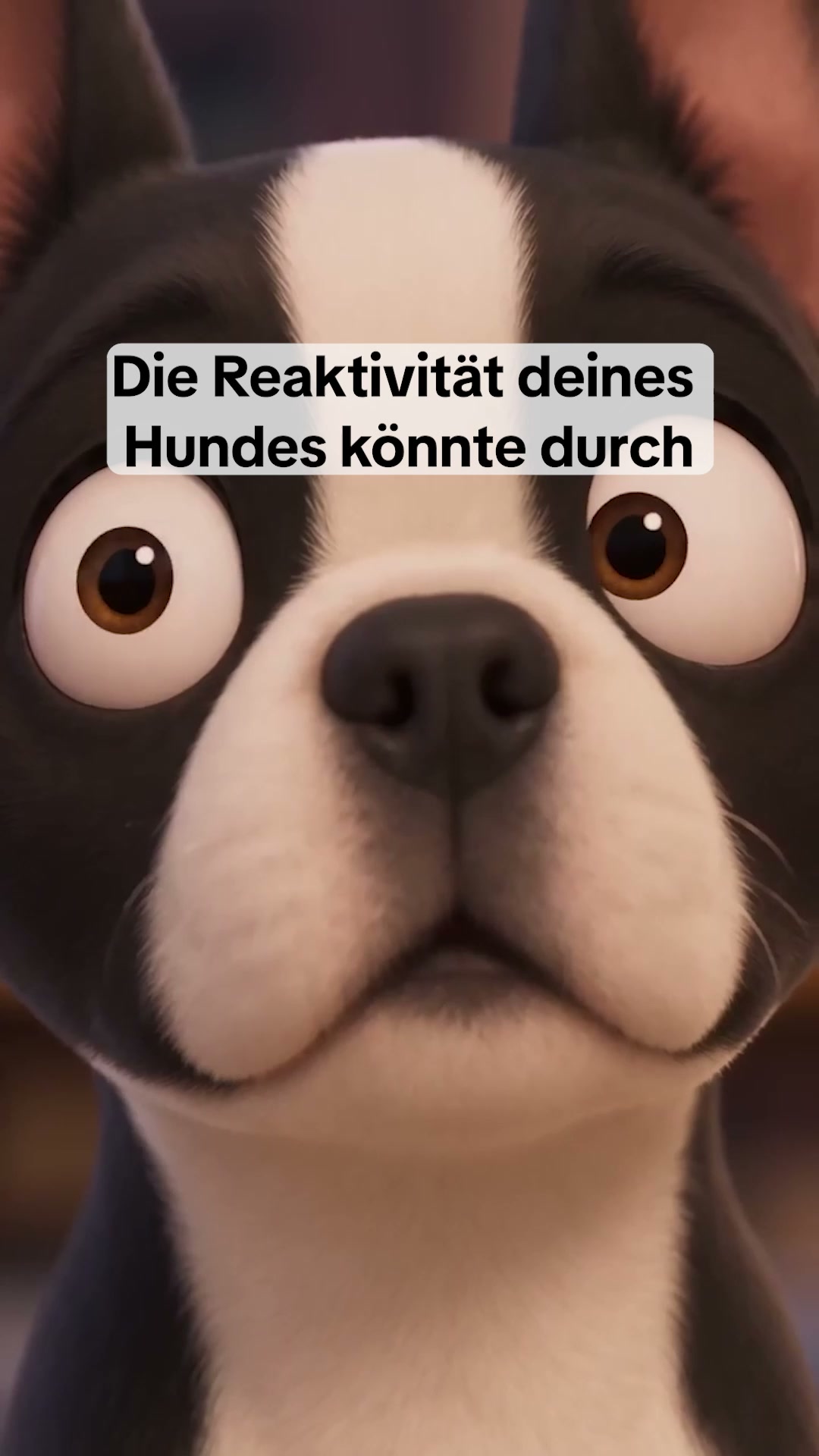 70 % RABATT + KOSTENLOSER Versand