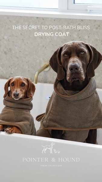 Dog Drying Coat