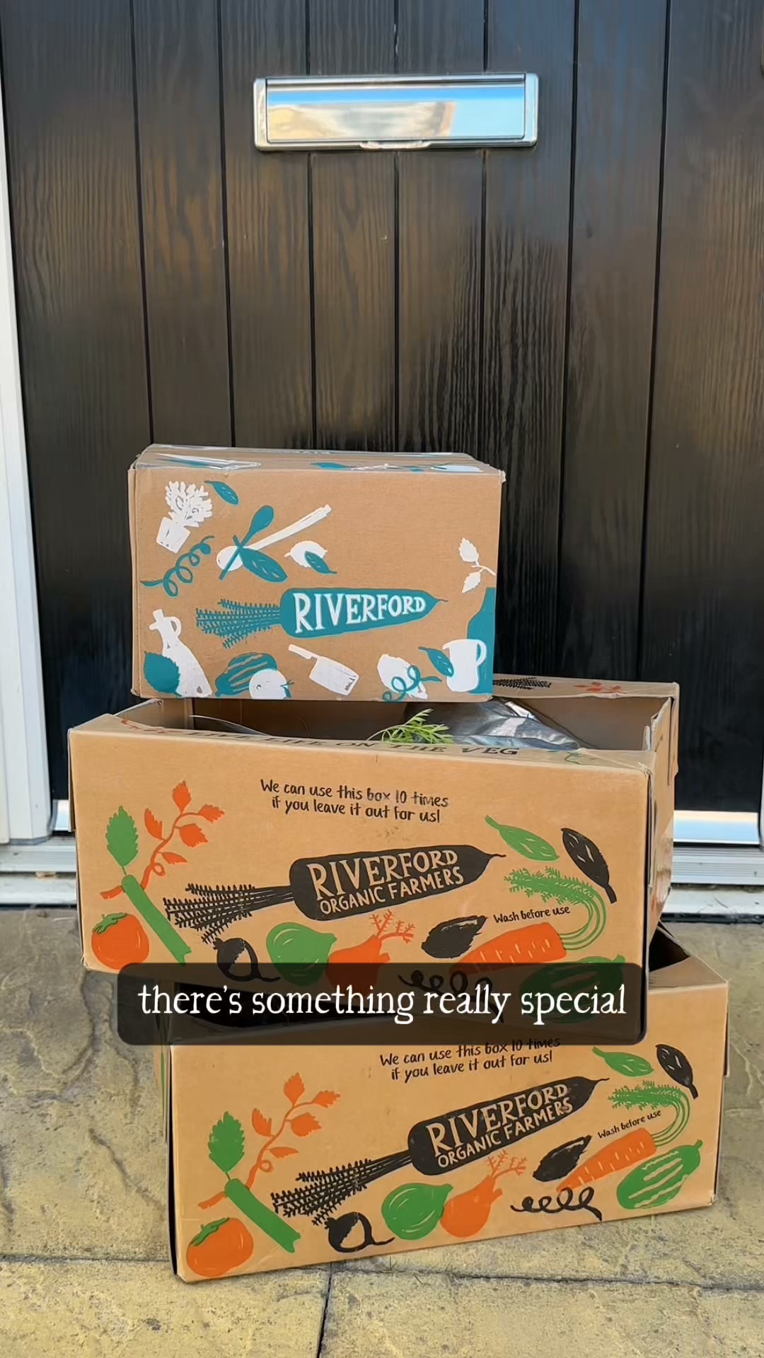 Organic veg boxes from £16.50