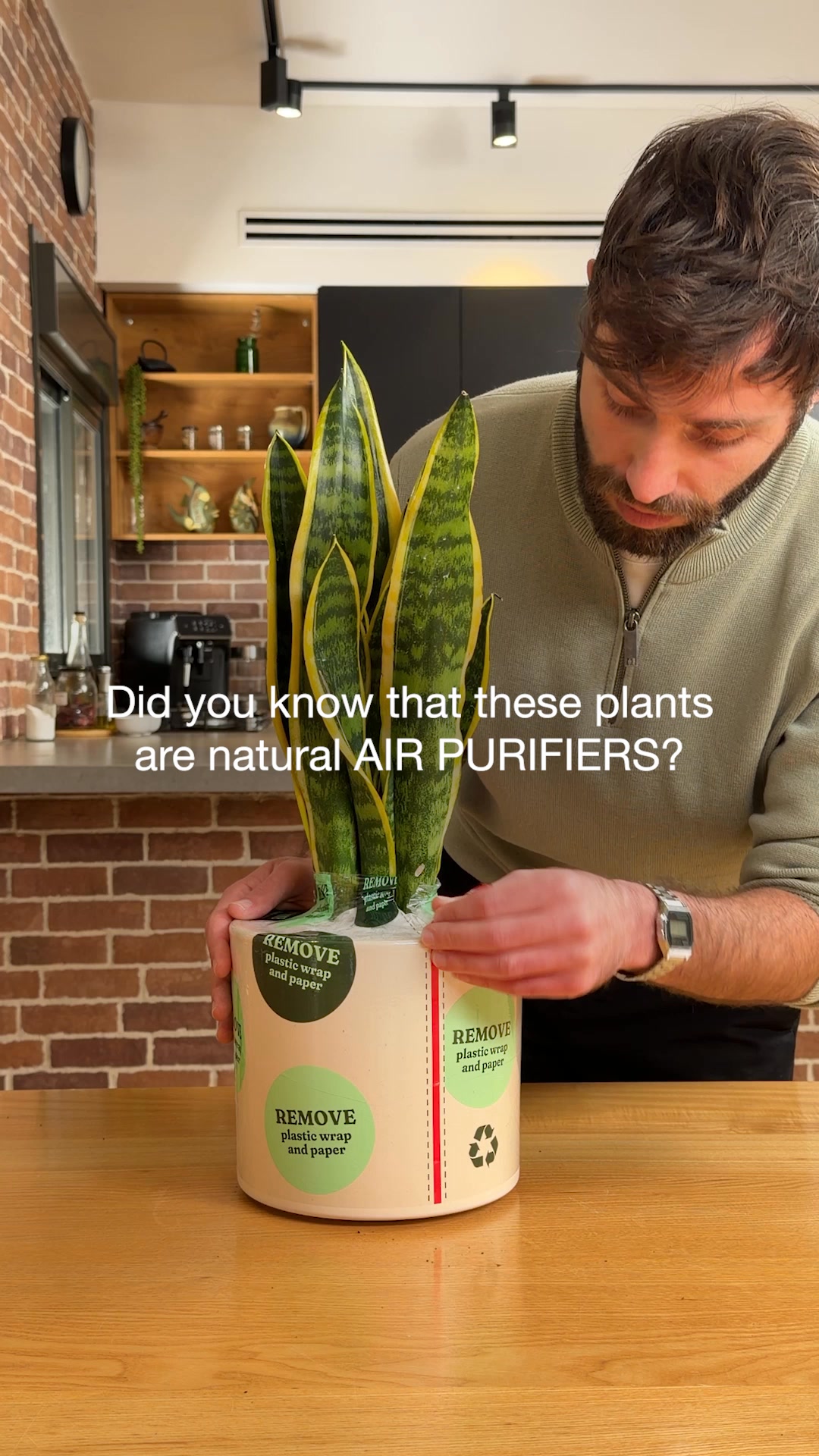 These are NO ordinary plants!