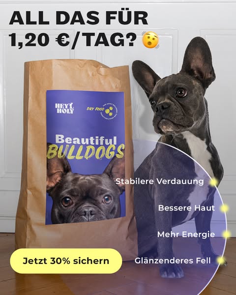 Bulldoggen-Futter: 30% Rabatt sichern