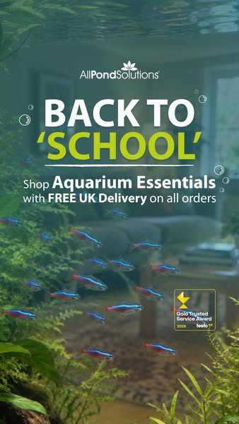 New Season Aquarium Essentials