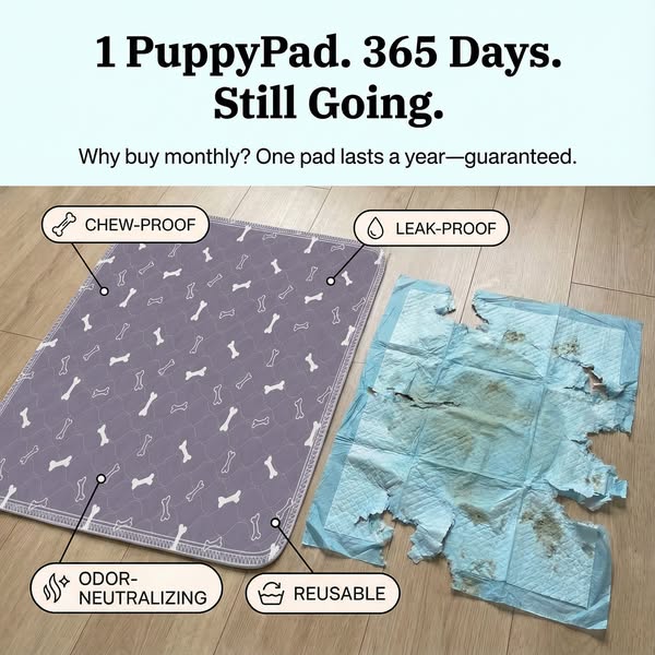 How We Potty Train Any Dog Instantly
