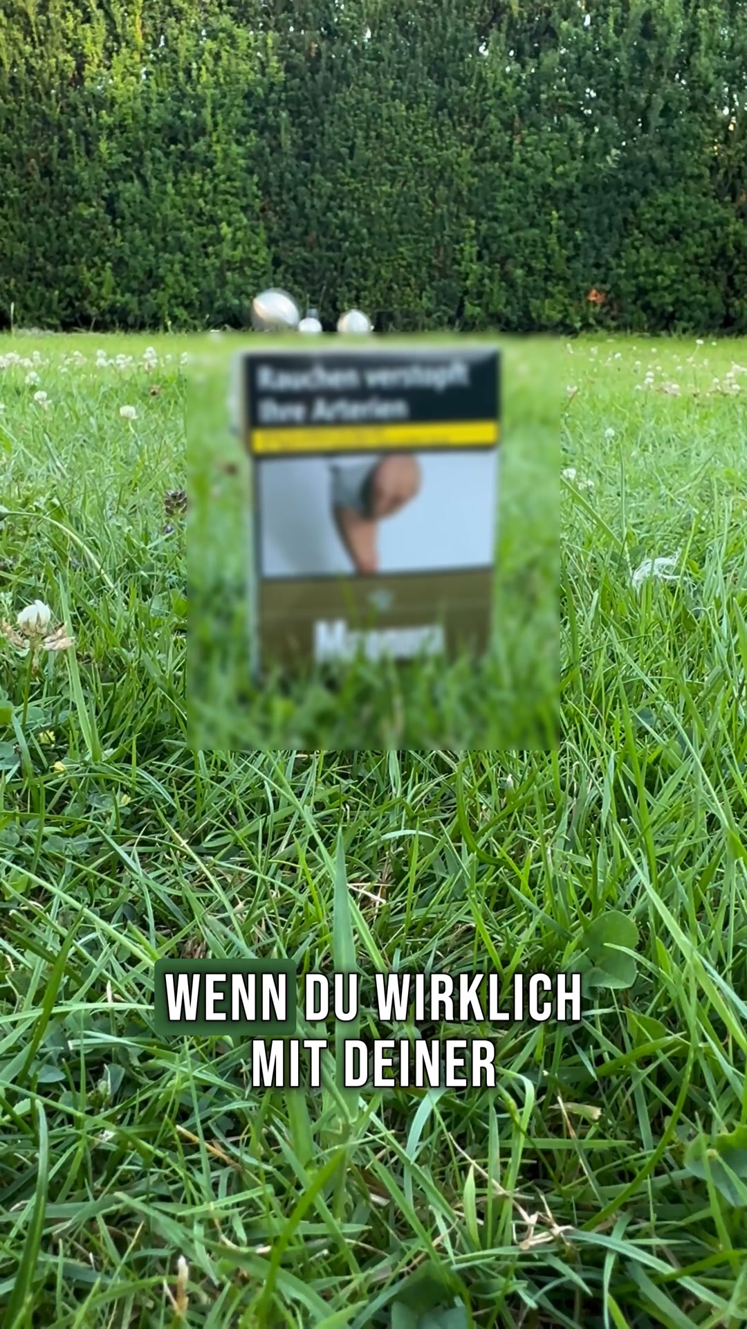 Brandneue Version